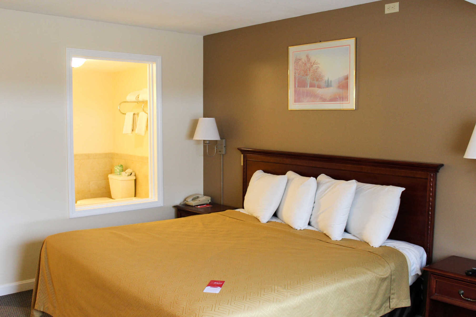 Quality Inn & Suites Lincoln Værelse billede